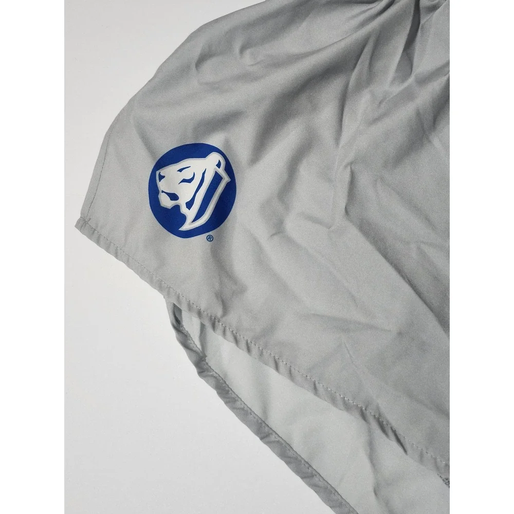 Nike Penn State Nittany Lions Womens Running Shorts Gray Large NCAA Athletic